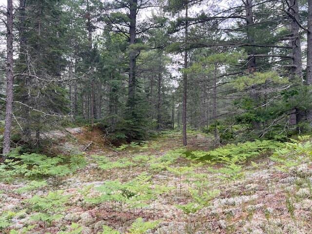 V/L N Wines Rd, Paradise, MI 49768 - photo 16