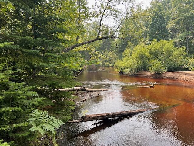 V/L N Wines Rd, Paradise, MI 49768 - photo 19