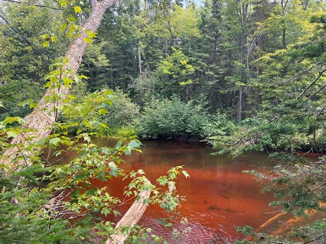 V/L N Wines Rd, Paradise, MI 49768 - photo 21