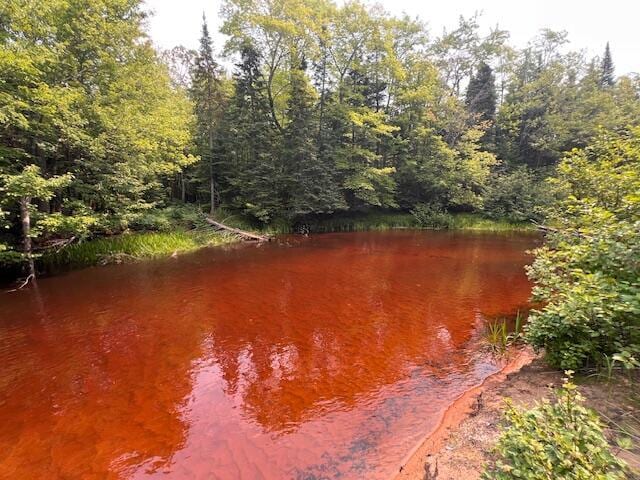 V/L N Wines Rd, Paradise, MI 49768 - photo 22