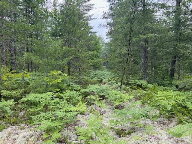 V/L N Wines Rd, Paradise, MI 49768 - photo 23