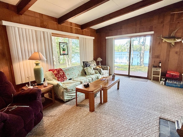 4188 Tee Lake Woods Rd, Lewiston, MI 49756 - photo 8