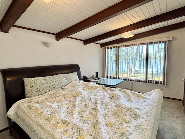 4188 Tee Lake Woods Rd, Lewiston, MI 49756 - photo 14