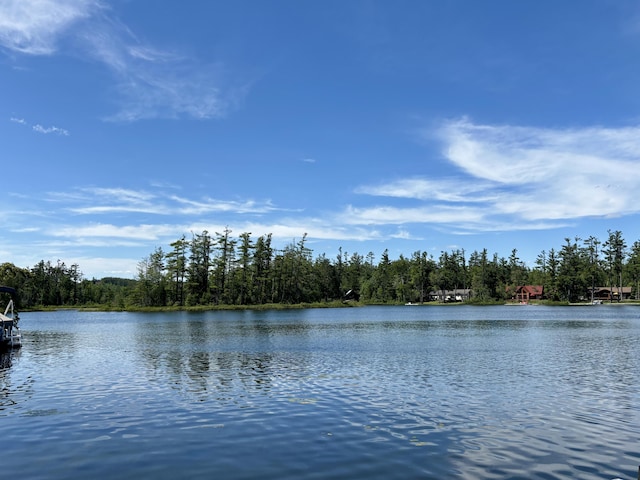 4188 Tee Lake Woods Rd, Lewiston, MI 49756 - photo 5