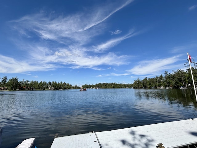 4188 Tee Lake Woods Rd, Lewiston, MI 49756 - photo 28