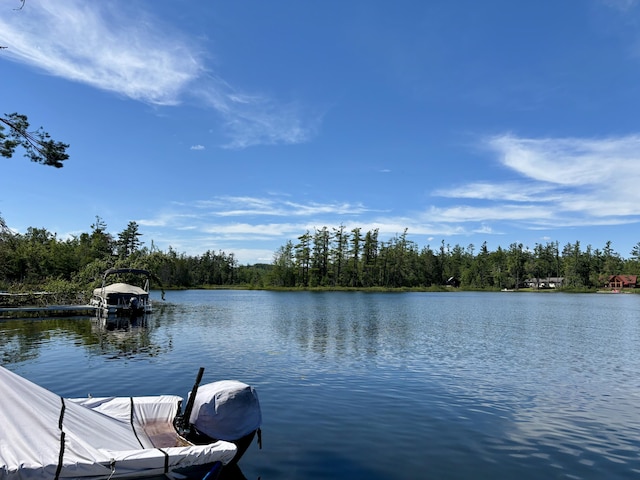 4188 Tee Lake Woods Rd, Lewiston, MI 49756 - photo 30