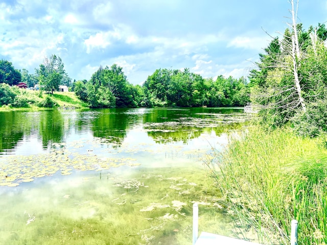 5969 Bayou Dr, Cheboygan, MI 49721 - photo 27