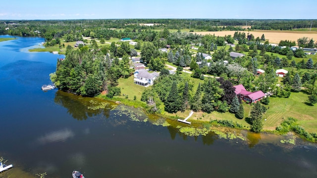 5969 Bayou Dr, Cheboygan, MI 49721 - photo 3