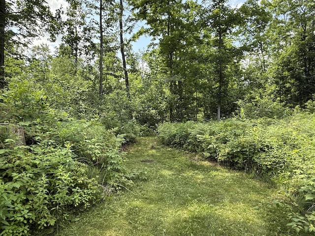 3410 Mullett Burt Rd, Cheboygan, MI 49721 - photo 5