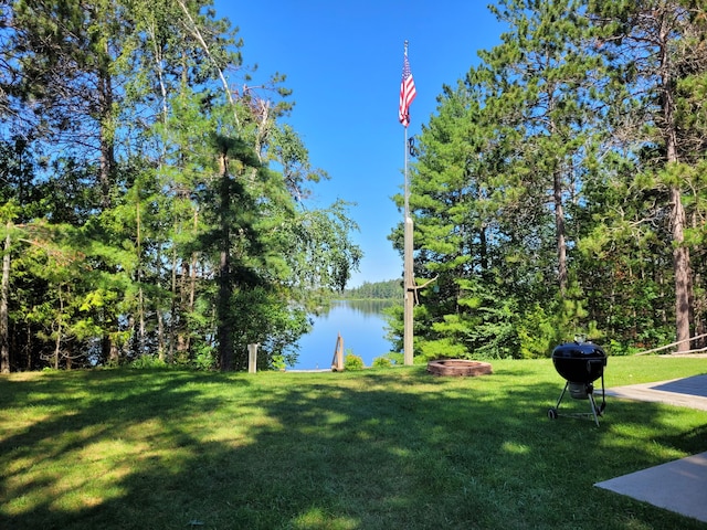 8174 Lake Nettie Rd, Hawks, MI 49743 - photo 5