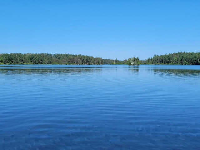 8174 Lake Nettie Rd, Hawks, MI 49743 - photo 10