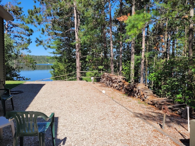 8174 Lake Nettie Rd, Hawks, MI 49743 - photo 56