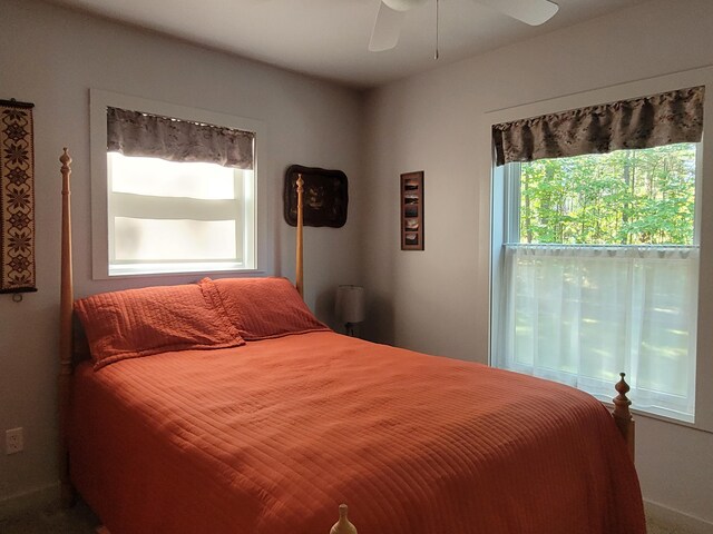 8174 Lake Nettie Rd, Hawks, MI 49743 - photo 42