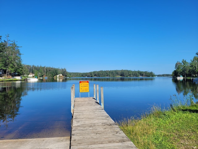8174 Lake Nettie Rd, Hawks, MI 49743 - photo 59