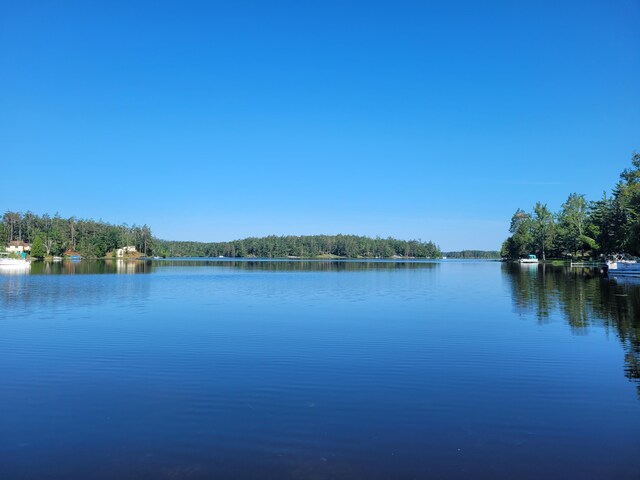 8174 Lake Nettie Rd, Hawks, MI 49743 - photo 60