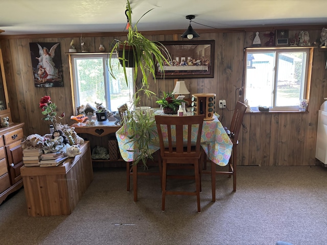 14427 Belz Ln, Presque Isle, MI 49777 - photo 26