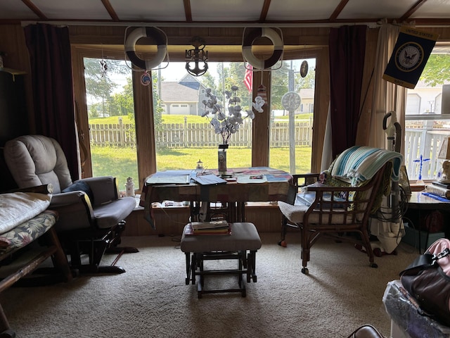 14427 Belz Ln, Presque Isle, MI 49777 - photo 54