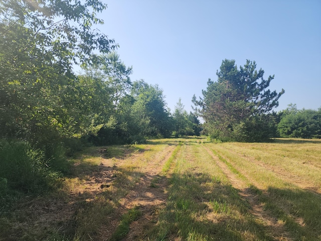2600 W Fowler Rd, Barton City, MI 48705 - photo 8