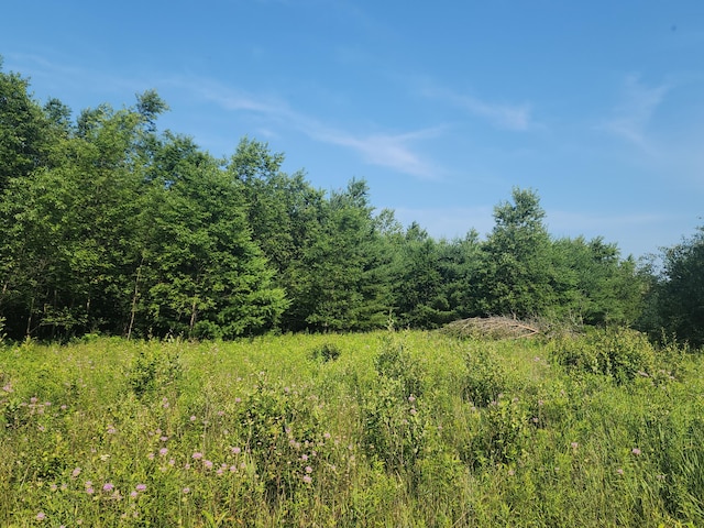 2600 W Fowler Rd, Barton City, MI 48705 - photo 9