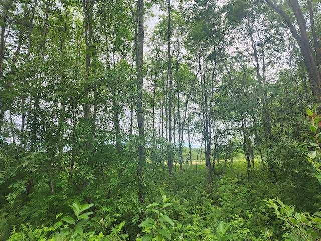 2600 W Fowler Rd, Barton City, MI 48705 - photo 11