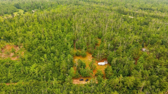 6644 Lynx Trl, Gaylord, MI 49735 - photo 5