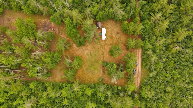 6644 Lynx Trl, Gaylord, MI 49735 - photo 6