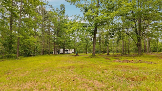 6644 Lynx Trl, Gaylord, MI 49735 - photo 7