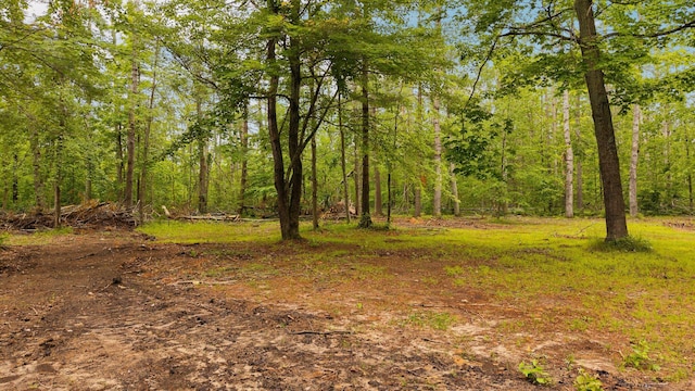 6644 Lynx Trl, Gaylord, MI 49735 - photo 8