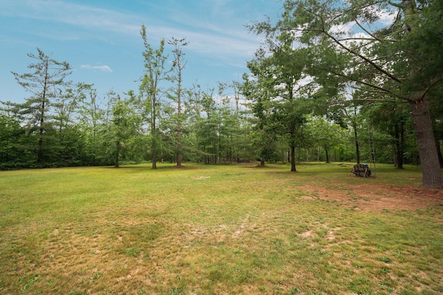 6644 Lynx Trl, Gaylord, MI 49735 - photo 21
