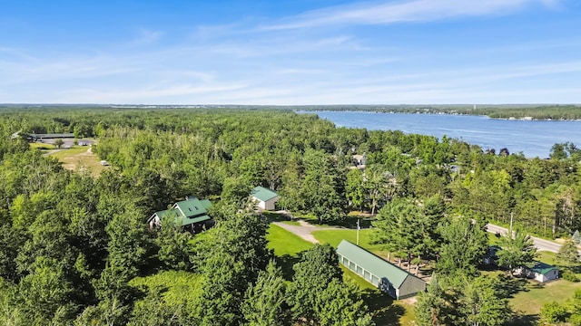 5280 W Otsego Lake Dr, Gaylord, MI 49735 - photo 59