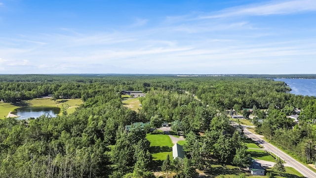 5280 W Otsego Lake Dr, Gaylord, MI 49735 - photo 60