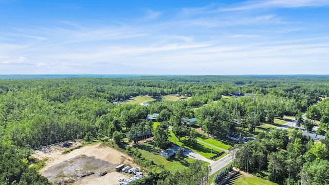 5280 W Otsego Lake Dr, Gaylord, MI 49735 - photo 61