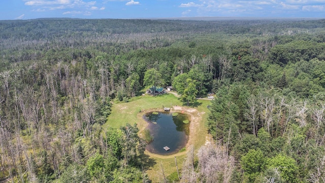 22525 Landing Rd, Hillman, MI 49746 - photo 24