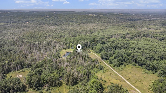 22525 Landing Rd, Hillman, MI 49746 - photo 25