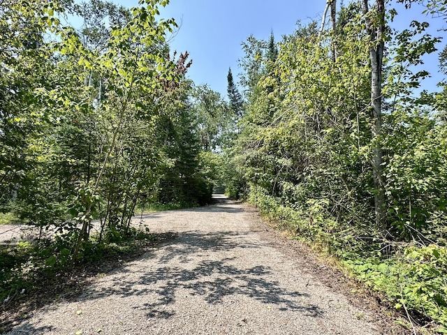 2890 US23, Cheboygan, MI 49721 - photo 22