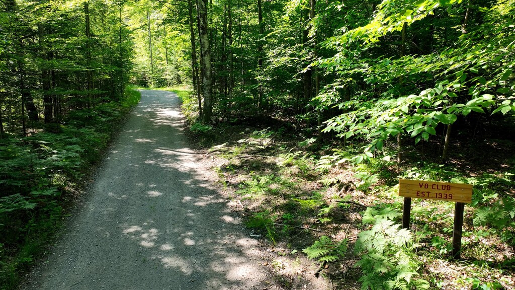 1377-ACRES V8 Dr, Atlanta, MI 49709 - photo 1