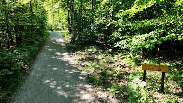 1377-ACRES V8 Dr, Atlanta, MI 49709 - photo 1