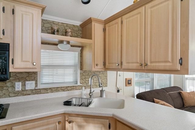 6772 San Juan, Alanson, MI 49706 - photo 16