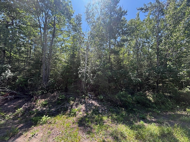 NHN Pineview Dr, Presque Isle, MI 49777 - photo 1