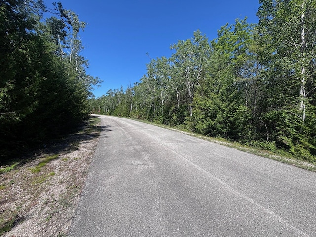 NHN Northland Heights Dr, Presque Isle, MI 49777 - photo 3