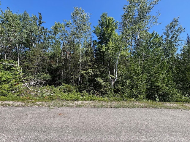 NHN Northland Heights Dr, Presque Isle, MI 49777 - photo 4