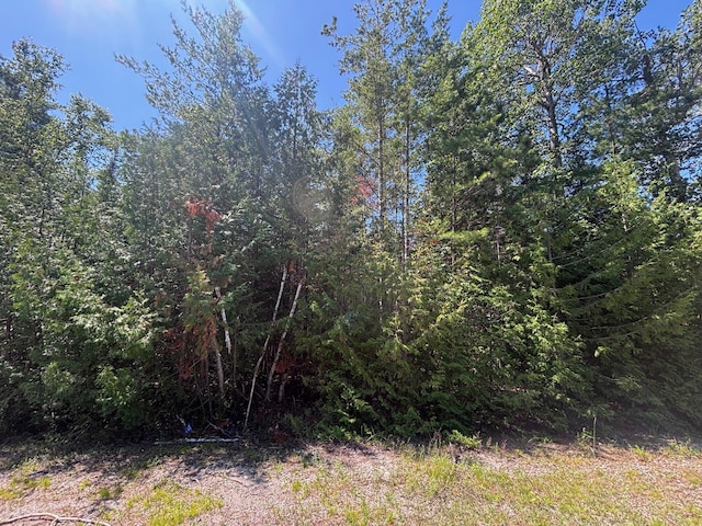 NHN Northland Heights Dr, Presque Isle, MI 49777 - photo 1