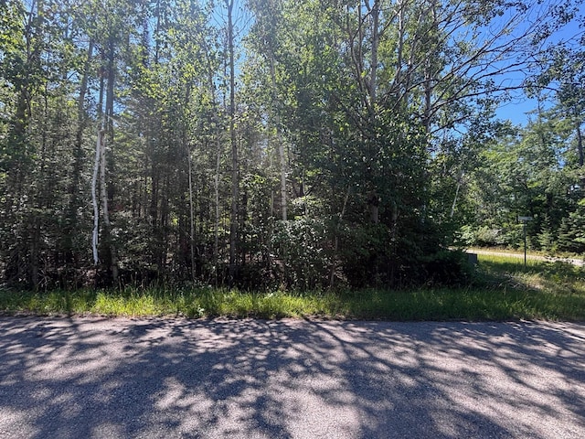 NHN Norwood Ct, Presque Isle, MI 49777 - photo 3