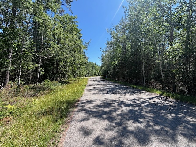 NHN Norwood Ct, Presque Isle, MI 49777 - photo 5