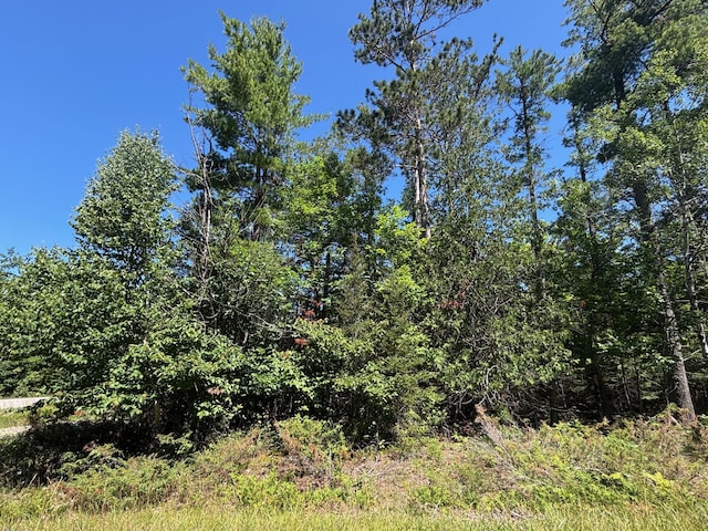 NHN Norwood Ct, Presque Isle, MI 49777 - photo 1