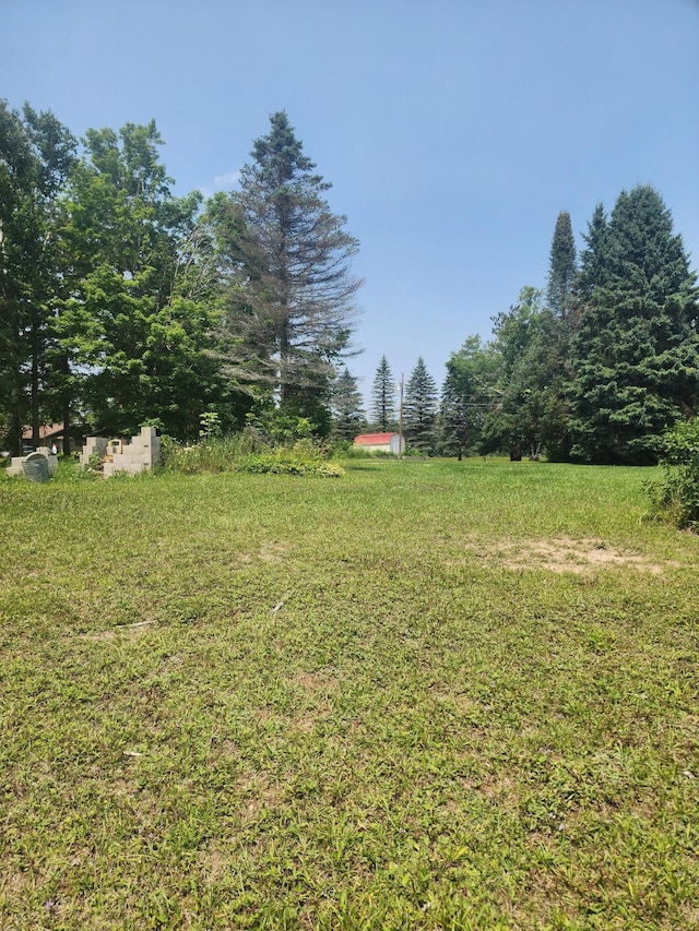 7863 Long Rapids Rd, Alpena, MI 49707 - photo 26