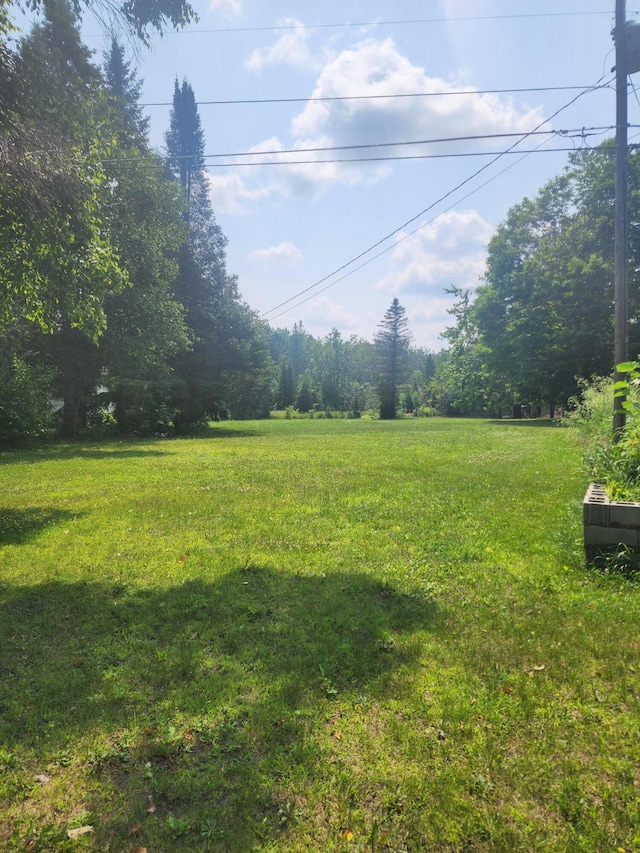 7863 Long Rapids Rd, Alpena, MI 49707 - photo 24