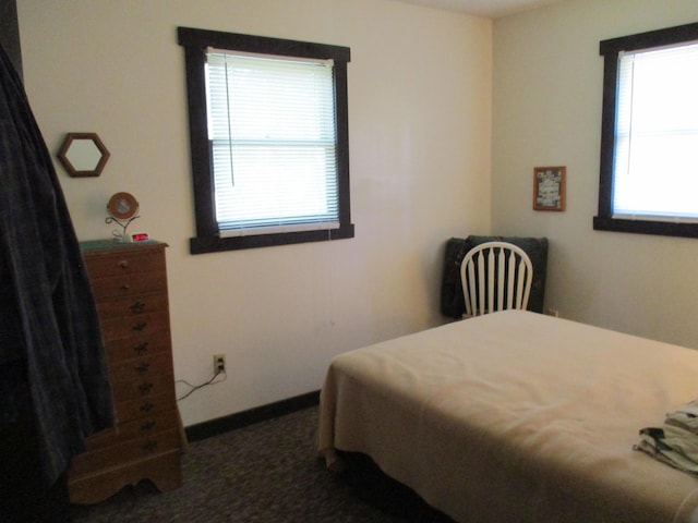 2840 Oak Ave, Lewiston, MI 49756 - photo 11