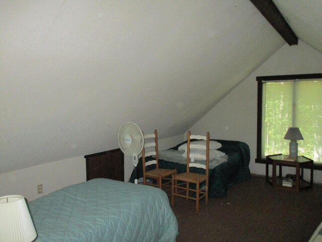 2840 Oak Ave, Lewiston, MI 49756 - photo 15
