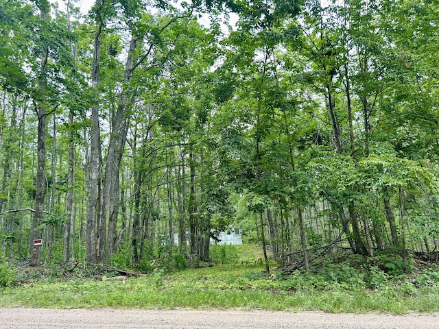 4094 N Vail Ln, Gaylord, MI 49735 - photo 4